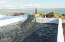  玉溪星云湖加快污染底泥疏挖，消除劣V類水質