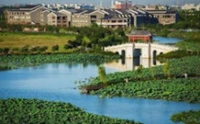  環(huán)保促發(fā)展系列報道（2）｜從“優(yōu)環(huán)境”到“強產(chǎn)業(yè)”再到“惠民生” 東莞市麻涌鎮(zhèn)走通綠色發(fā)展“閉環(huán)”