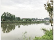  揚州農村投放微動力污水處理設備 26個小盒子“洗”凈全村污水